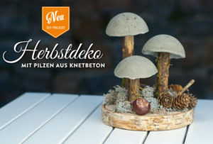 Diy Coole Herbstdeko Mit Pilzen Aus Beton Deko Kitchen