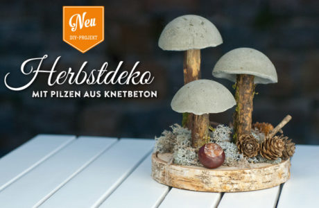 DIY: coole Herbstdeko mit Pilzen aus Beton Deko-Kitchen