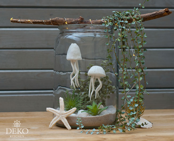 DIY Mini Aquarium